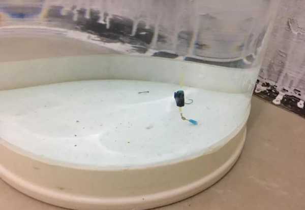 小跑铅钓法图解及调漂技巧