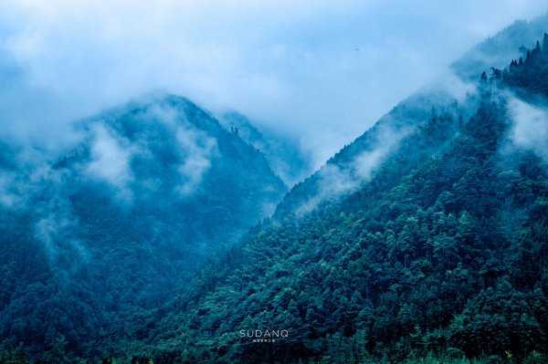 德阳市属于哪个省
