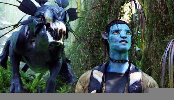 全球票房排行榜