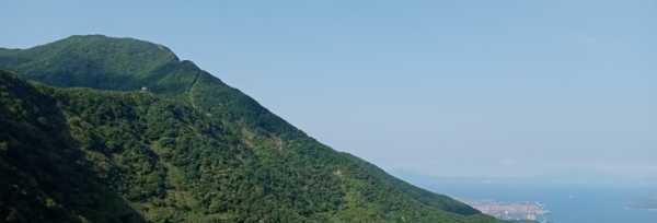 深圳的梧桐山多高