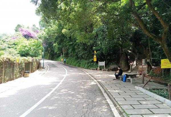 深圳的梧桐山多高