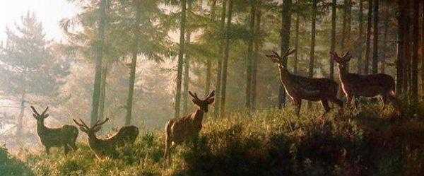 辽源市是哪个省的城市