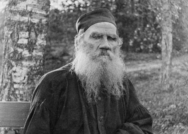 列夫特尔斯泰个人资料简介