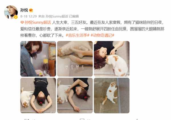 孙悦个人资料介绍