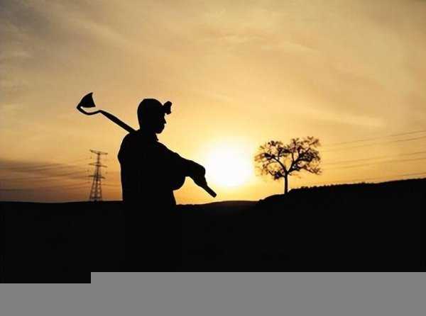 河南人为什么被称为吉普赛人