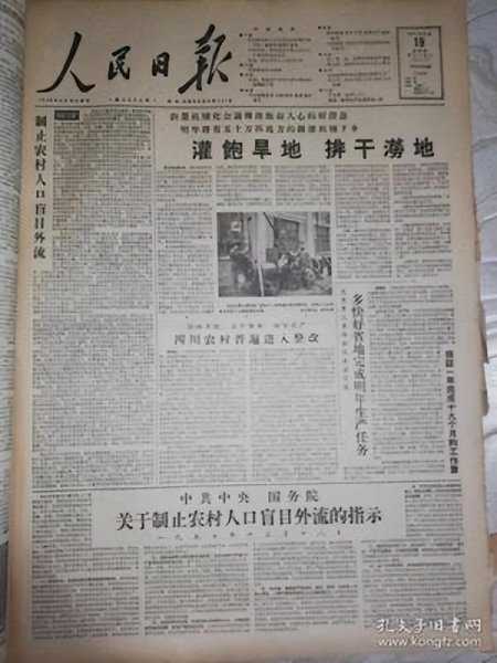 河南人为什么被称为吉普赛人