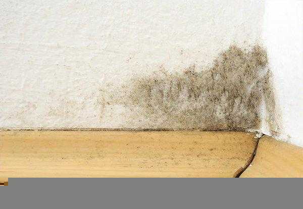 南方回南天一般在几月份