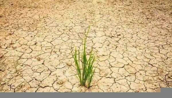 三月二十七是什么日子