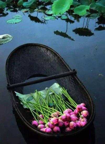 池上的作者是谁