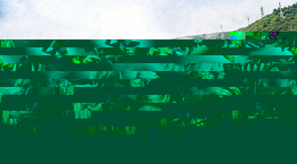 三头六臂指的是谁