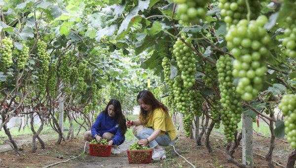 连云港是哪个省份的城市