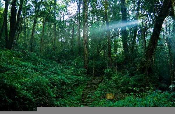 红河州有几个县市
