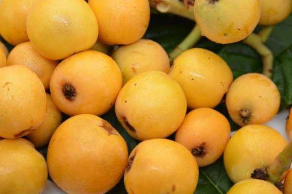 5月份水果当季有哪些