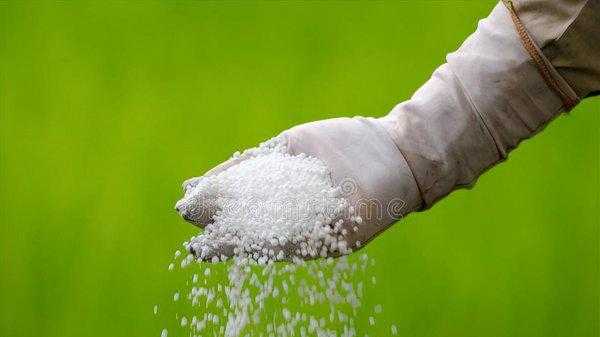 氮气比空气重还是轻