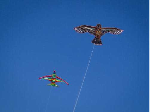 放风筝的技巧有哪些