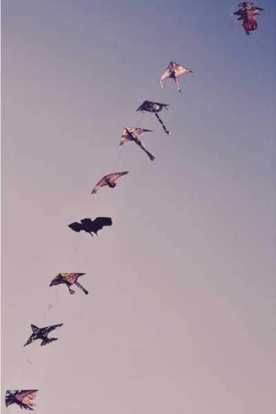 放风筝的技巧有哪些