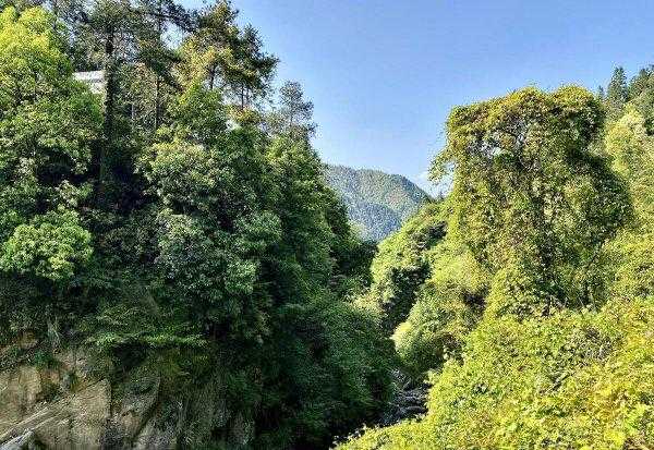 空山不见人是哪首古诗