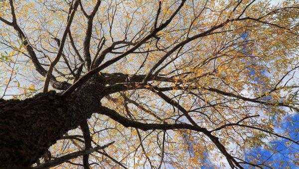 原耽里文笔极佳的句子