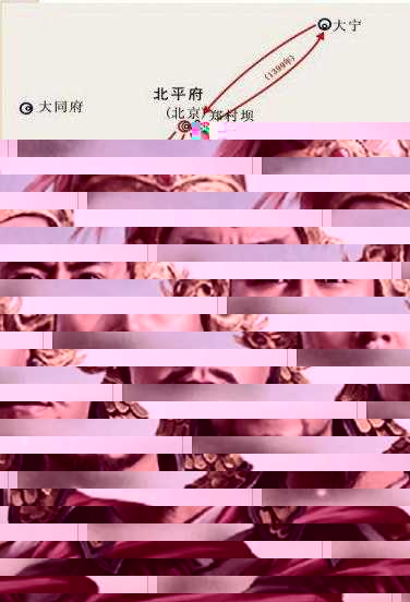 张玉之子张辅事迹简介