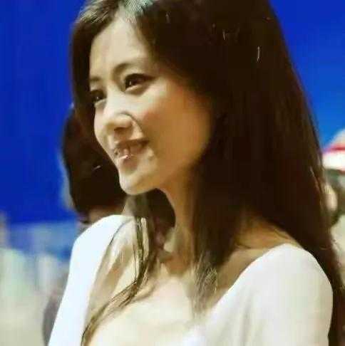 王海燕和张嘉译怎么认识的