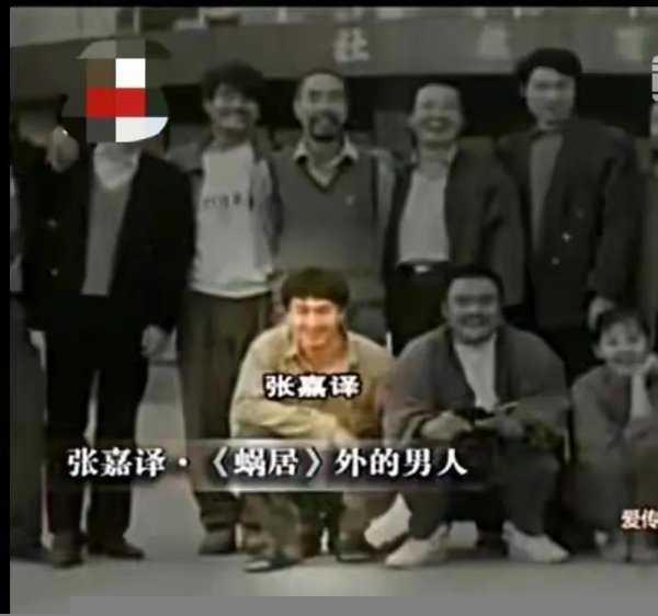 王海燕和张嘉译怎么认识的