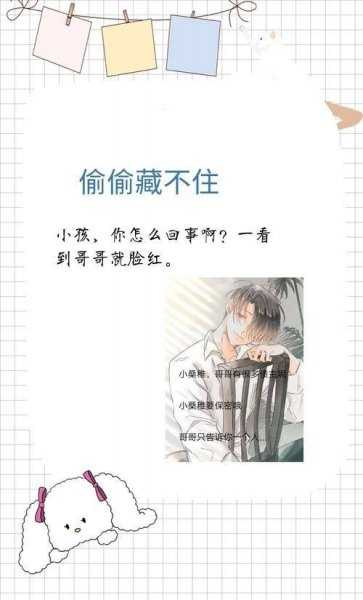 偷偷藏不住的作者是谁